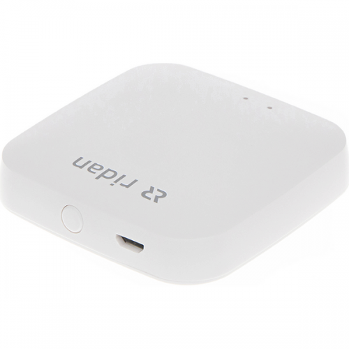 РИДАН 014G2401R — Шлюз (интеллектуальный центр управления) SmartHeat 