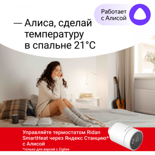РИДАН 014G2463R — Электронный радиаторный термостат SmartHeat, IP4X 