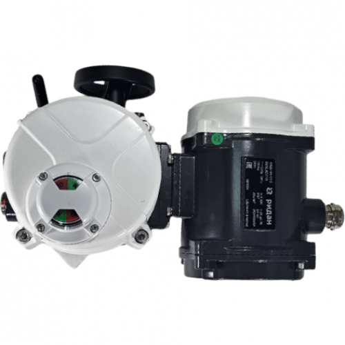 РИДАН 065L8250R — Электропривод AMB-H-006 380В с блоком управления RY; IP67; для шаровых кранов RJIP DN65 стандартный проход 