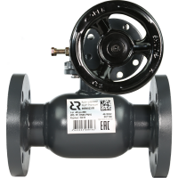 РИДАН RJIP Premium 065N0346R — Кран шаровой FF DN125 PN25 WG (фланцевый, с редуктором, стандартный проход) 065N0346R