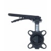 РИДАН 082X4533R — Затвор дисковый PN16, DN80, диск — чугун, с электроприводом 220В 